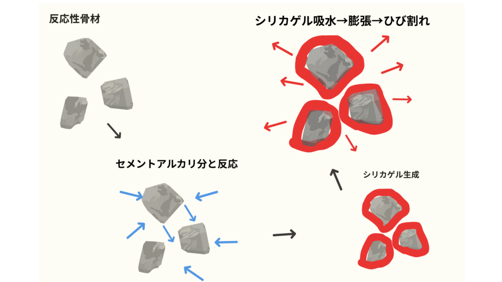ASRの発生メカニズムを4つの状態変化のイラストで解説、受験者のイメージしやすさに配慮したイラスト